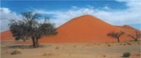 Sossusvlei scenery